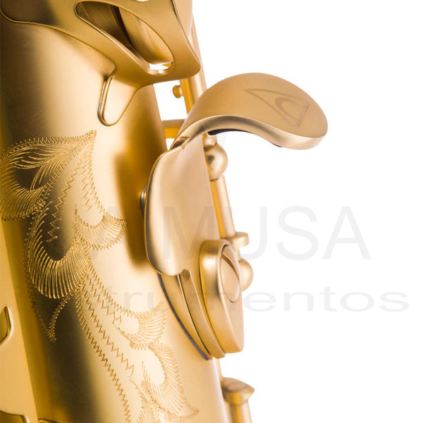 Antigua model 25 alto saxophone deals